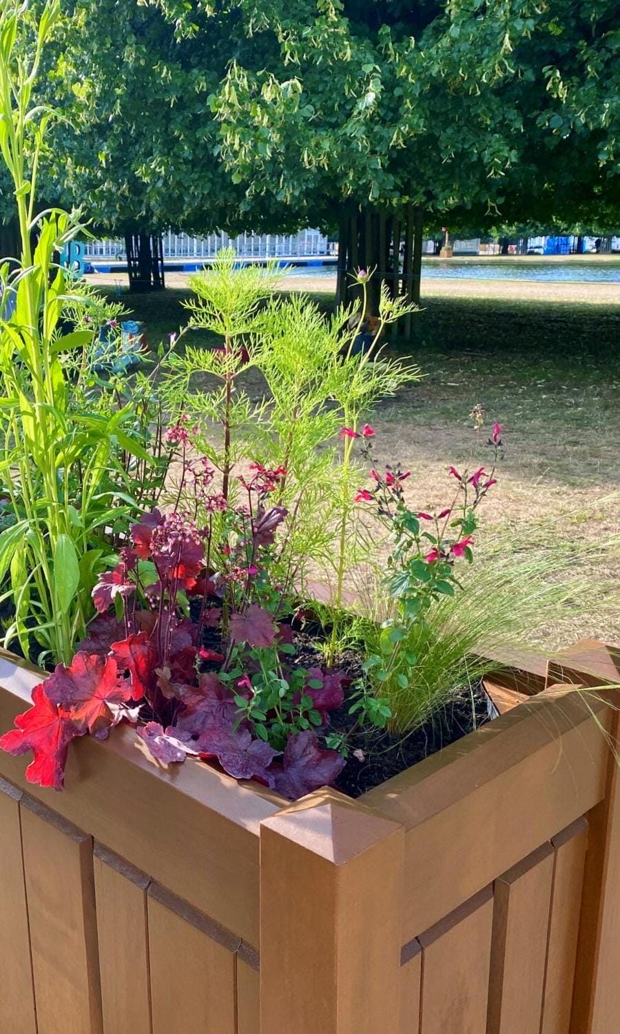 A wooden planter filled with a mix of wildflowers and greenery, part of the RHS Hampton Court exhibit, positioned on a timber deck with gardening tools nearby.
