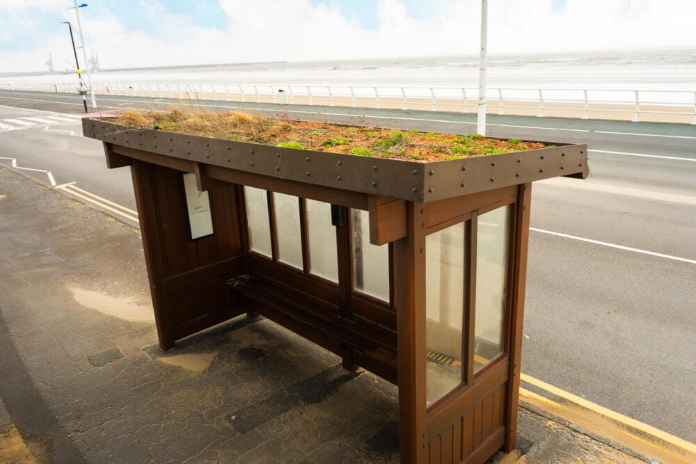Photograph of a bus shelter with a green roof next to a road. In the background is the ocean.